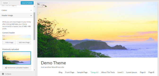 bai-23-1-lam-sao-de-cai-theme-giong-ban-demo10