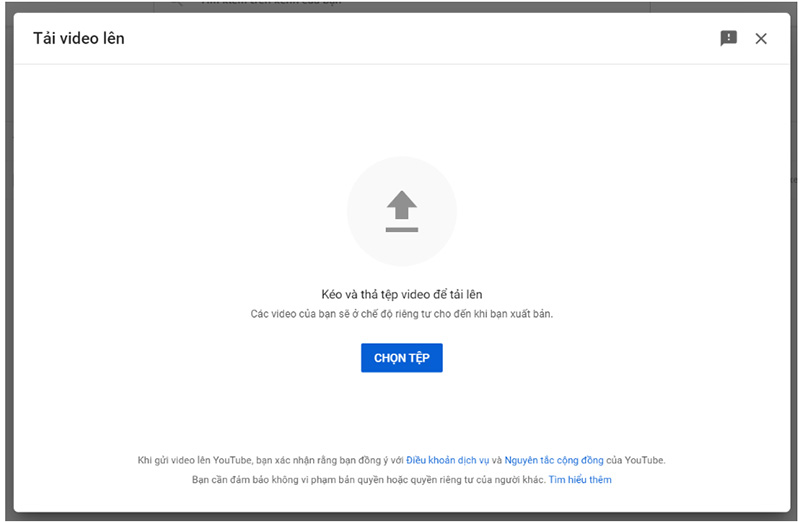 Hãy chắc chắn điền vào tất cả các thông tin cần thiết như tiêu đề, mô tả và thẻ cho video trước khi công khai video.
